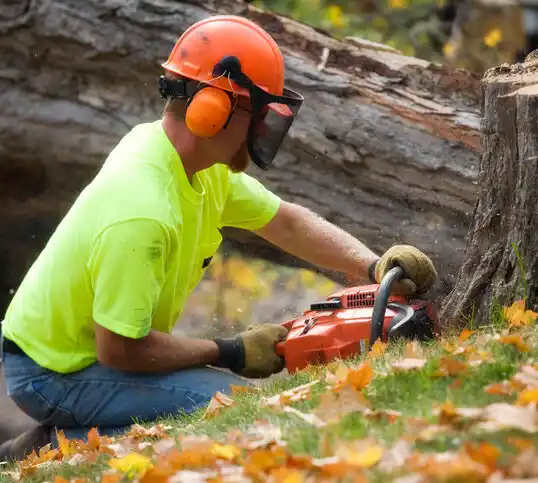 tree services Choctaw Lake